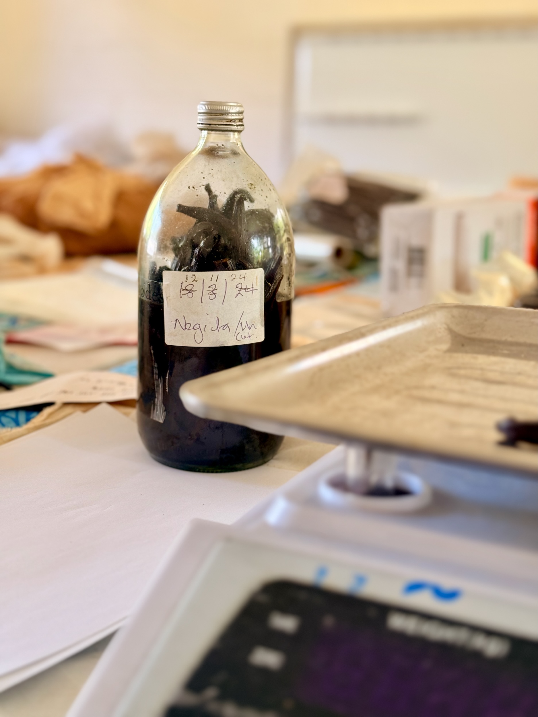 placeholder image-sq