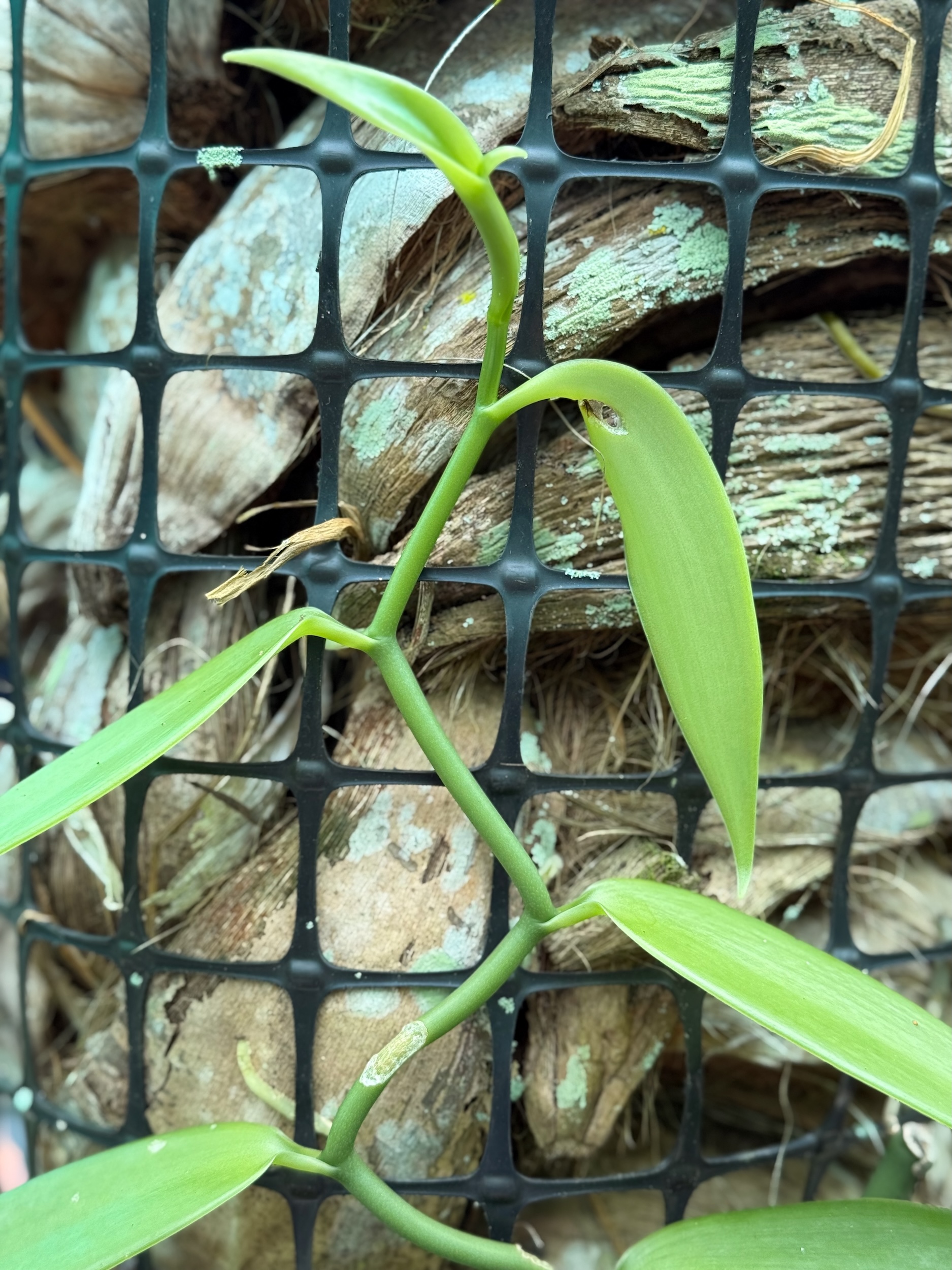 placeholder image-sq