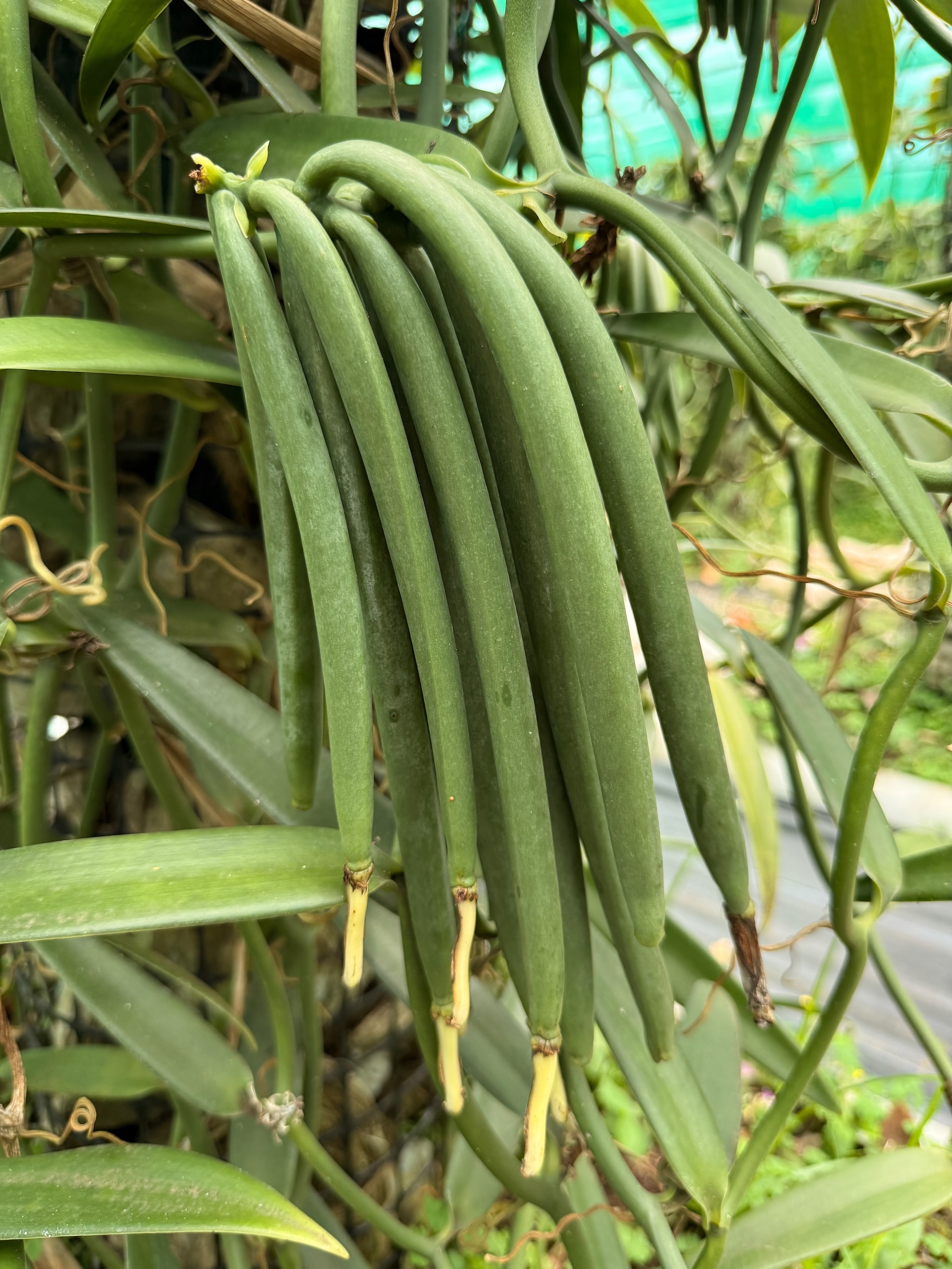 placeholder image-sq