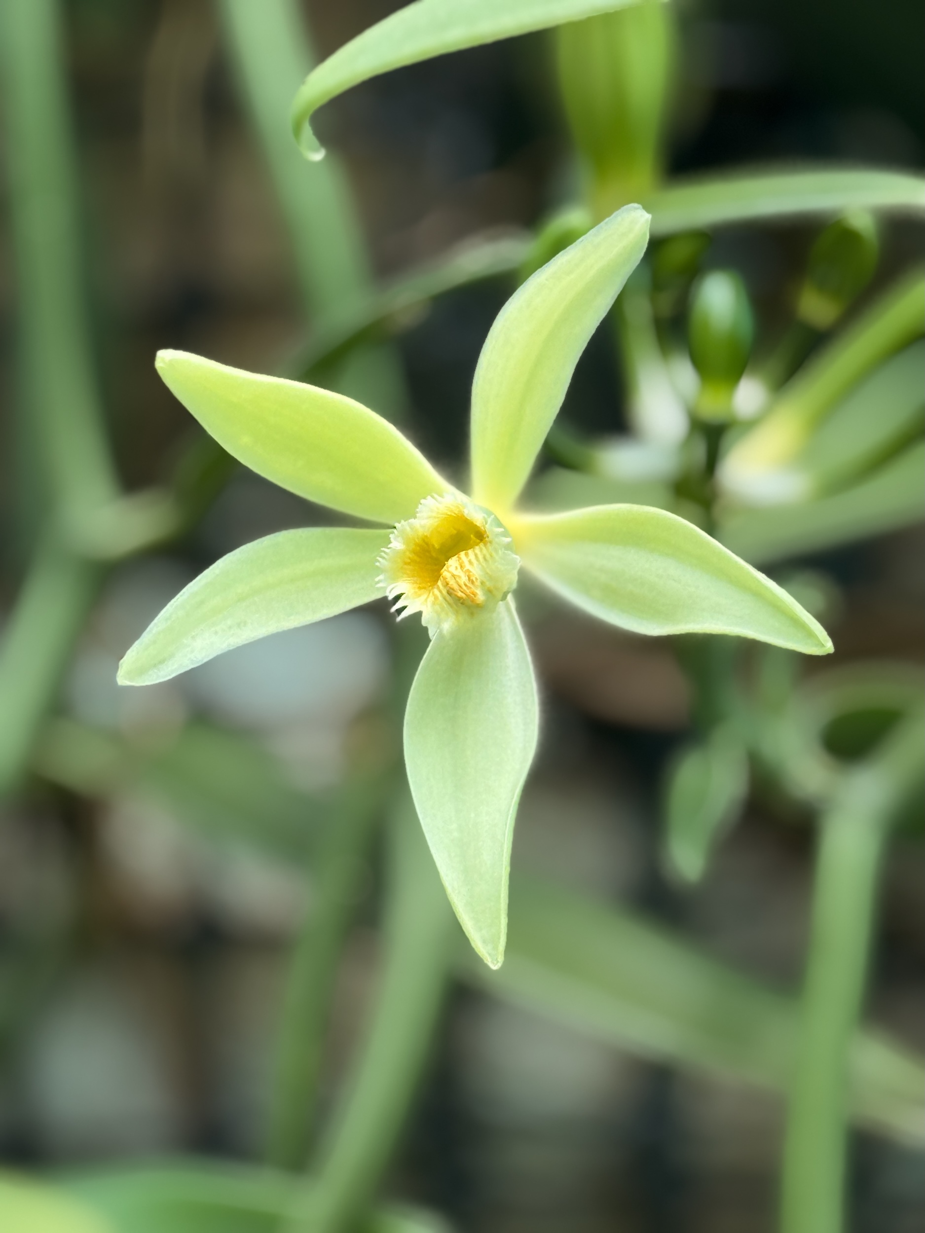 placeholder image-sq