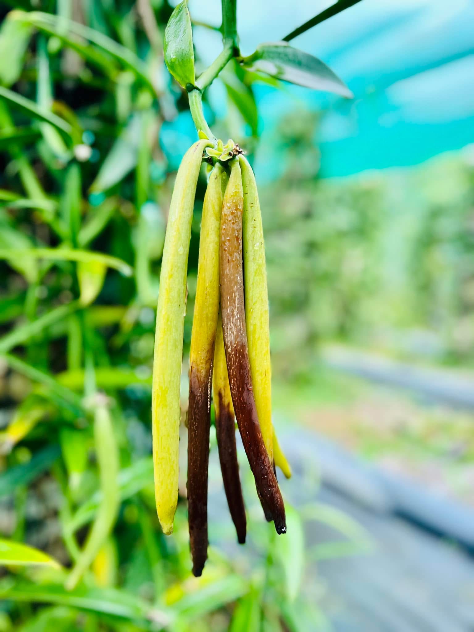 placeholder image-sq